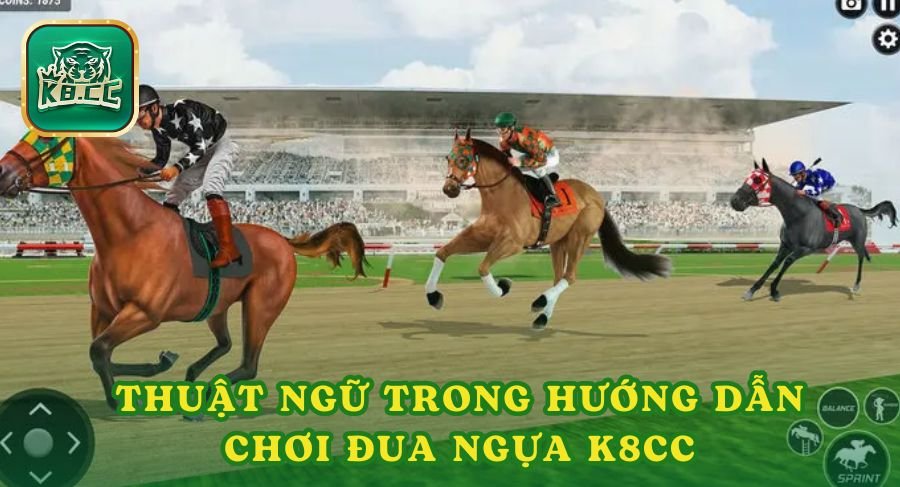 Một số thuật ngữ trong hướng dẫn chơi đua ngựa K8cc