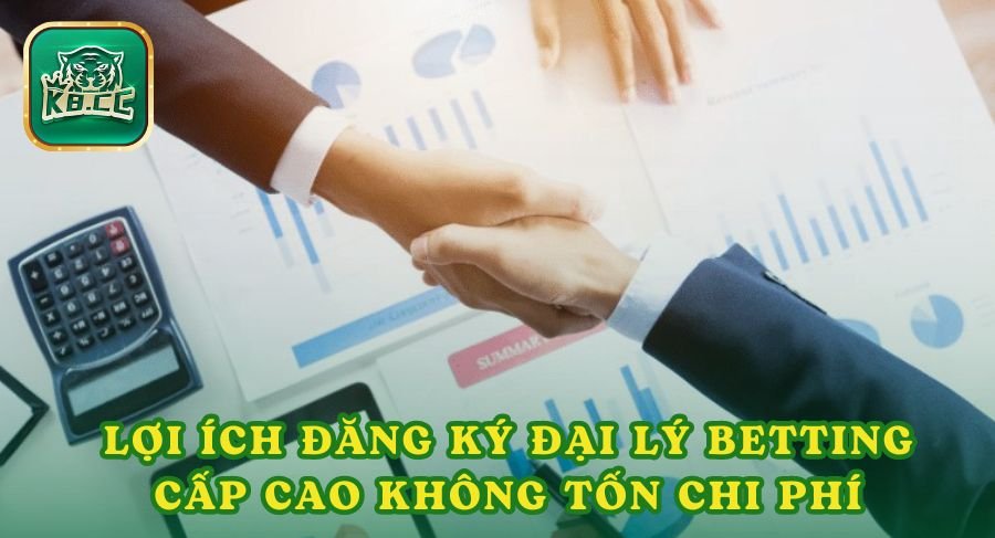 Lợi ích khi đăng ký đại lý Betting cấp cao không tốn chi phí tại K8cc