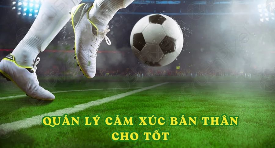 Quản lý cảm xúc tốt thì học hướng dẫn cá cược bóng đá online sẽ tốt