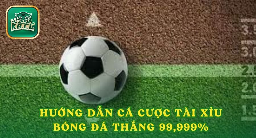 Hướng Dẫn Cá Cược Tài Xỉu Bóng Đá Với Tỷ Lệ Thắng 99,99%