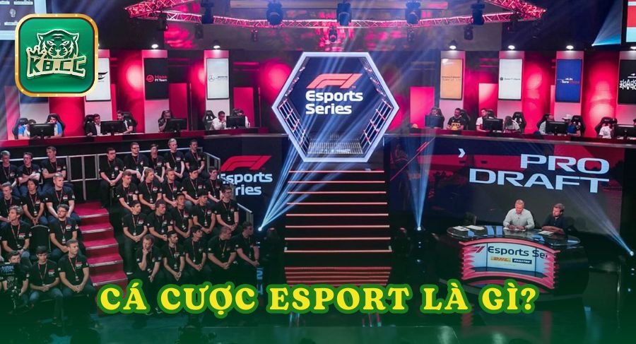 Cá cược Esport là gì?