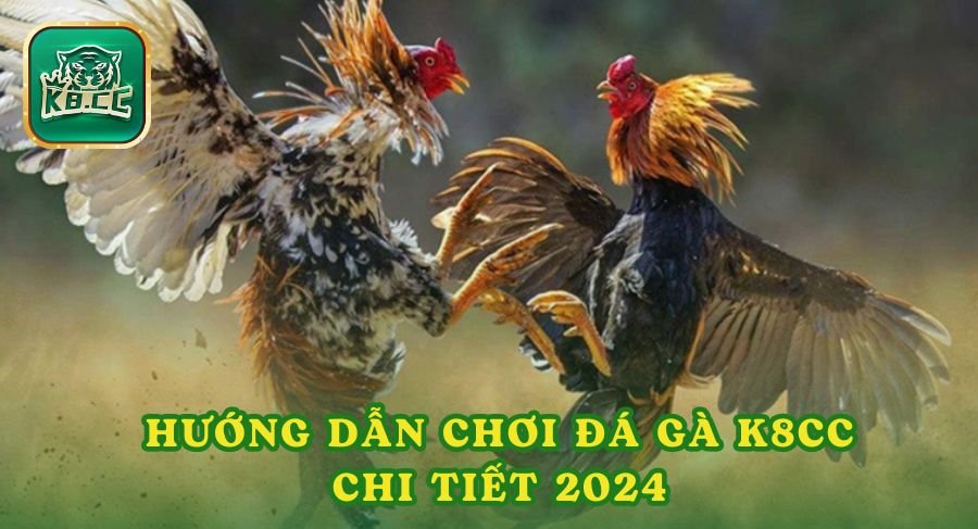 Hướng Dẫn Chơi Đá Gà K8cc Chi Tiết 2024